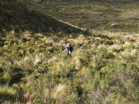 Sobota 4. 6. 2016 Alpamayo trek: Laguna Cullicoha 4628 m -  kemp Ruina Pampa 4066 m