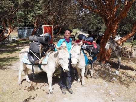 Pátek 10. 6. 2016  Huaraz – BC Pisco 4580 m